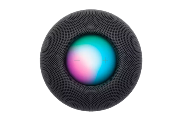Apple HomePod mini Space Gray (MY5G2)