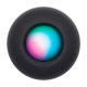 Apple HomePod mini Space Gray (MY5G2)