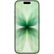 Apple iPhone 17 256GB eSIM Sage (MG4A4)